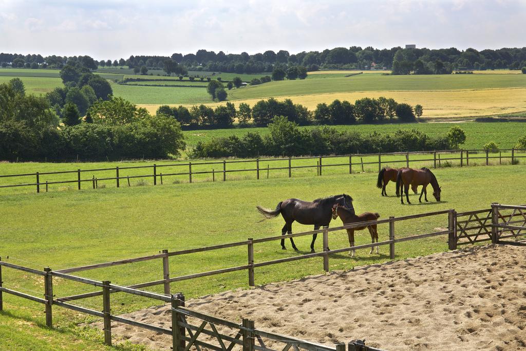 Buitenplaats Welsdael マルフラーテン エクステリア 写真